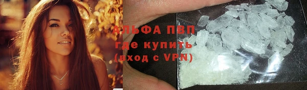 шишки Алзамай