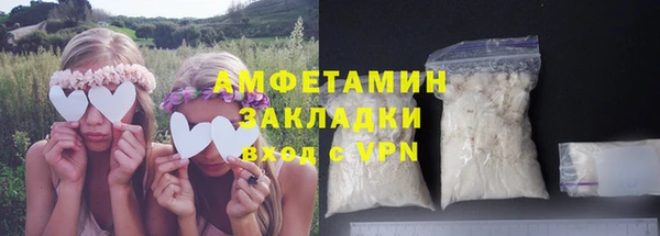 шишки Алзамай