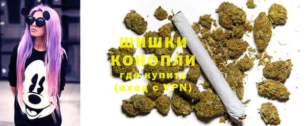 шишки Алзамай