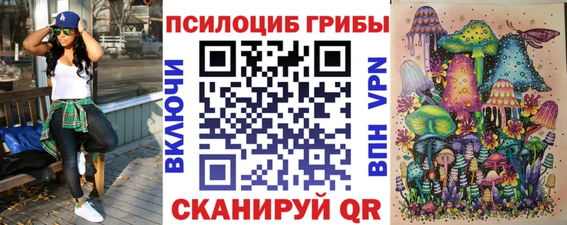 продажа наркотиков  Ак-Довурак  Псилоцибиновые грибы Psilocybe 